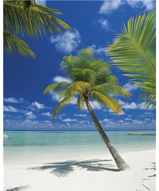 PHOTO MURALE ARI ATOLL