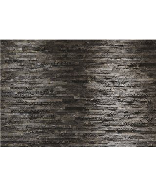 PHOTOMURAL BIRKENRIND