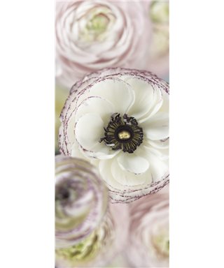 PHOTO MURALE DAY DREAM