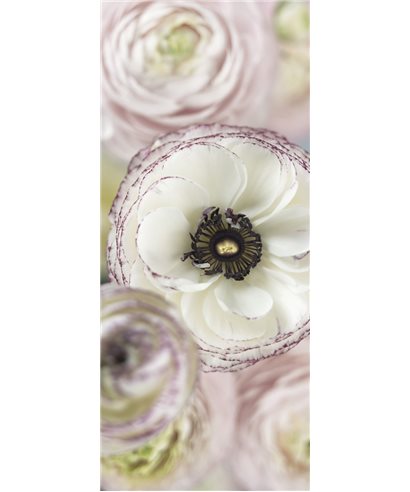 FOTOTAPETE DAY DREAM