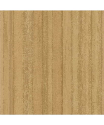 Ambiente G67801