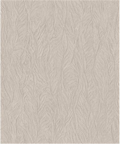 Ambiente G67811