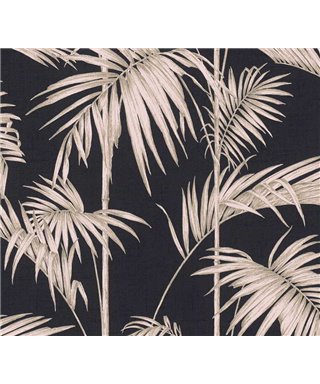 Métropolitaine Histoires 36919-1