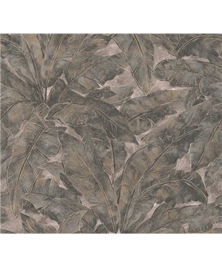 Métropolitaine Histoires 36927-1