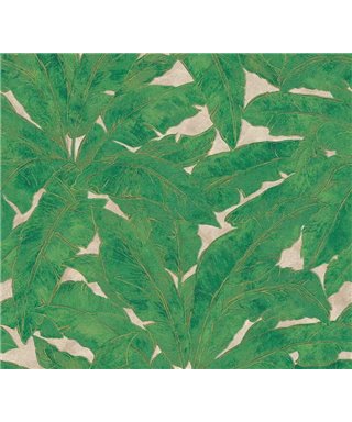 Métropolitaine Histoires 36927-3