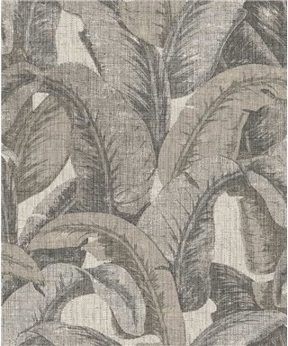 Internacionalmente' OG22335