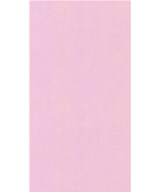 Les Petits Curieux 35030-49