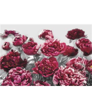 Komar Dans les Illusions XXL4-002