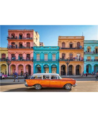 Komar En Ilusiones XXL4-042