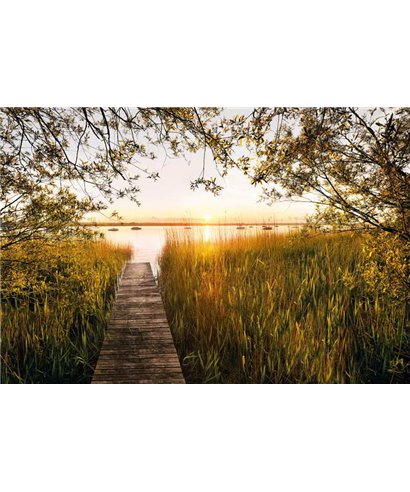 Komar Into Illusions XXL4-052