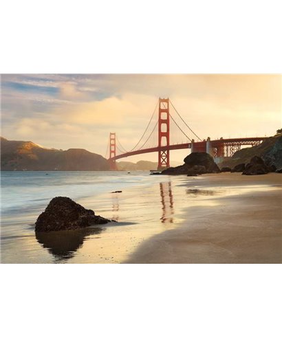 Komar Into Illusions XXL4-054