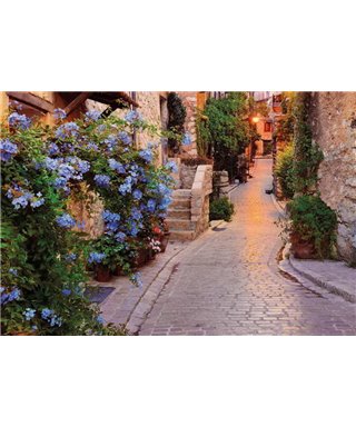 Komar Dans les Illusions XXL4-057