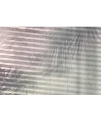 Komar Dans les Illusions XXL4-059