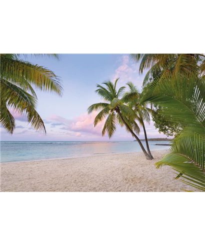 Komar Into Illusions XXL4-528