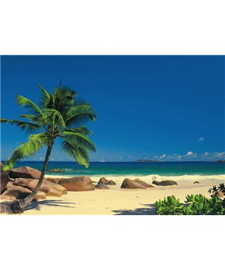 Komar Volume 15 4-006