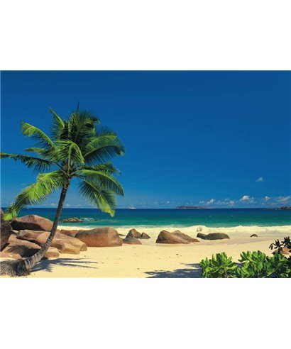 Komar Volume 15 4-006