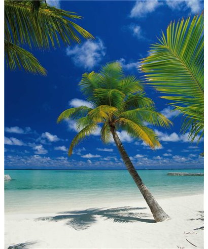 Komar Volume 15 4-883