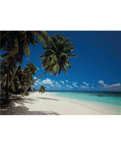 Komar, Volume 15 8-240