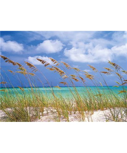 Komar Volumen 15 8-515