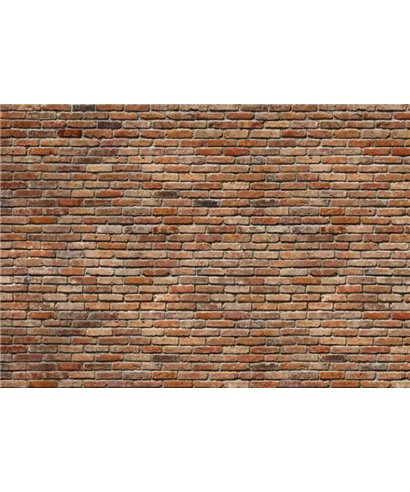 Komar Volumen 15 8-741