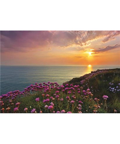 Komar Volumen 15 8-901