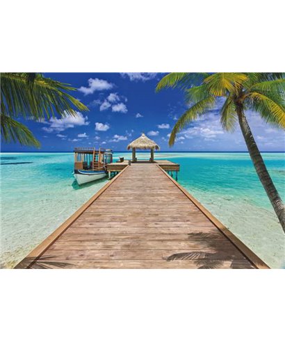 Komar, Volume 15 8-921