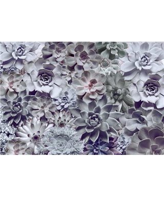 Komar, Volume 15 8-962