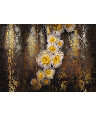 Komar, Volume 15 8-963