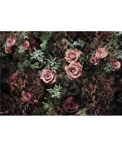 Komar Volume 15 8-980