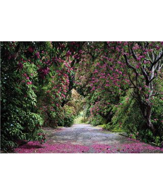 Komar Volume 15 8-985