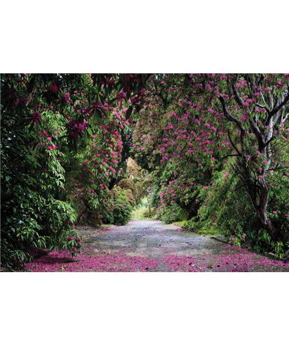 Komar Volumen 15 8-985