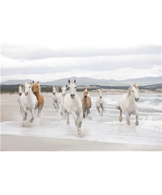 Komar Volume 15 8-986