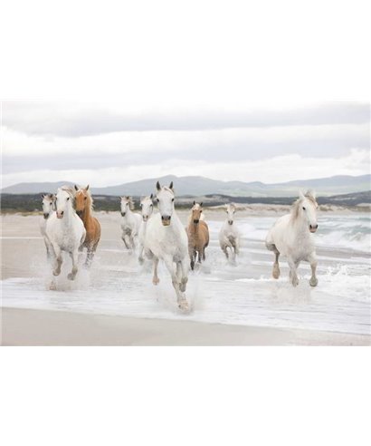 Komar Volume 15 8-986