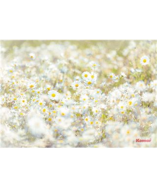 Komar Volumen 15 8-994