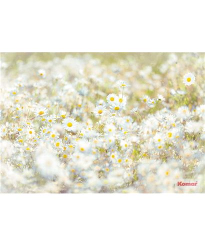 Komar Volume 15 8-994