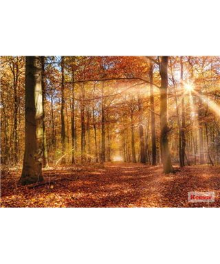 Komar Volumen 15 8-997