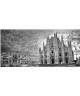 Dreamy One Duomo Notte