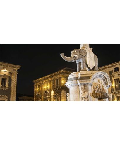 Dreamy One Catania Elefante