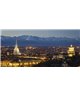 Dreamy One Torino Panorama