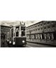Dreamy One Tram Torino