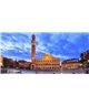 Dreamy One Siena