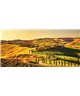 Dreamy One Crete Senesi