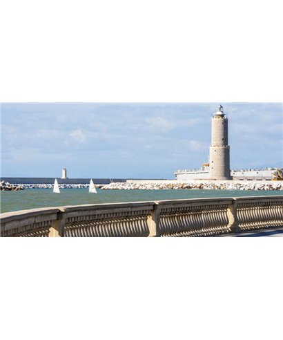 Dreamy One Faro Livorno