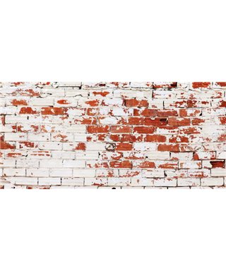Dreamy One White Wall