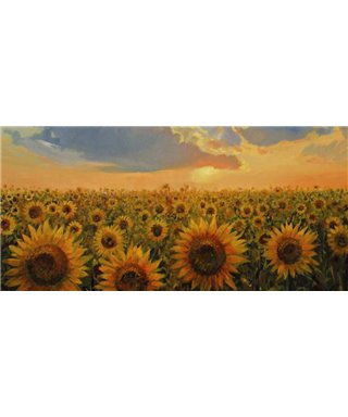Dreamy One Sunflowers