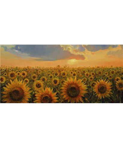 Dreamy One Sunflowers