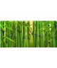 Dreamy One Bambooo