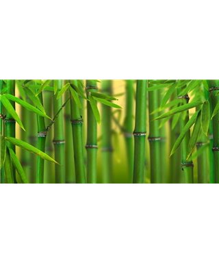 Dreamy One Bambooo