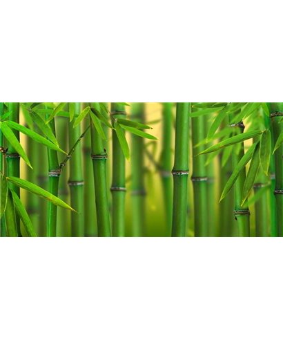 Dreamy One Bambooo