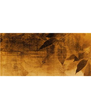 Dreamy One Tobacco